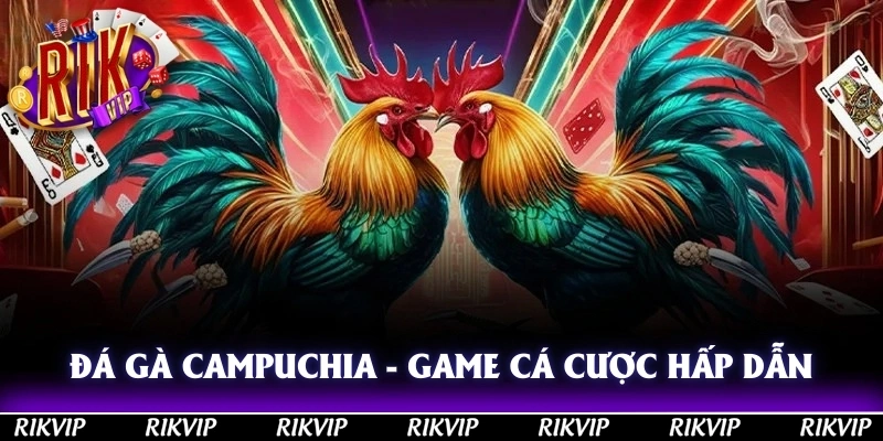 Đá Gà Campuchia - Trải Nghiệm Game Cá Cược Hấp Dẫn 2025