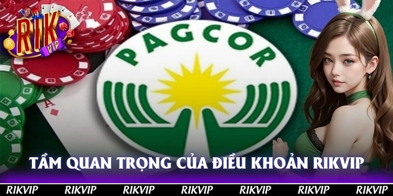 Tầm quan trọng vốn có của điều khoản và điều kiện RIKVIP